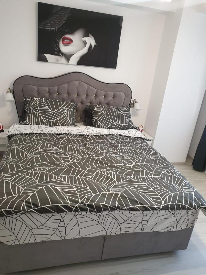 Topaz Central Apartment Bákó Kültér fotó